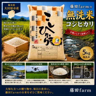 【令和8年産先行受付】大田原市産コシヒカリ 無洗米 5kg 藤田farmのこだわりの白米