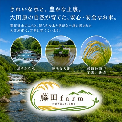 【令和8年産先行受付】大田原市産コシヒカリ 無洗米 5kg 藤田farmのこだわりの白米