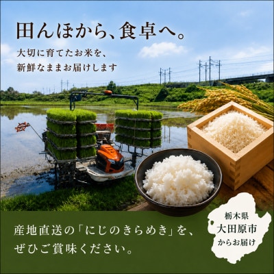 【令和8年産先行受付】大田原市産にじのきらめき 無洗米 5kg 藤田farmのこだわりの白米