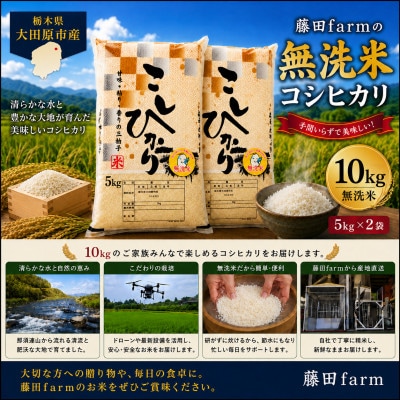 【令和8年産 新米 先行受付】大田原市産コシヒカリ 無洗米 10kg(5kg×2)【藤田farm】