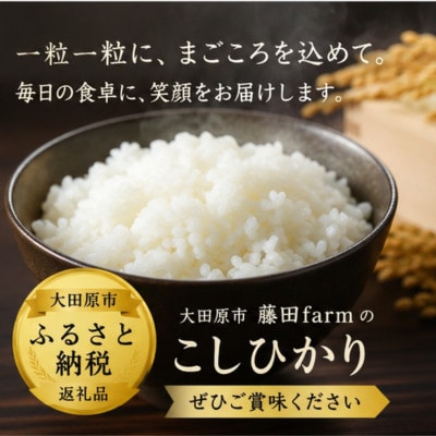 【令和8年産 新米 先行受付】大田原市産コシヒカリ 無洗米 10kg(5kg×2)【藤田farm】