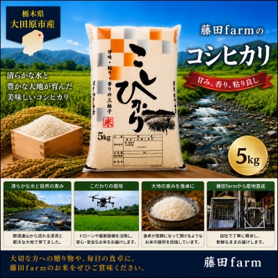 【令和8年産 新米 先行受付】大田原市産コシヒカリ 精米 5kg 藤田farmのこだわりの白米