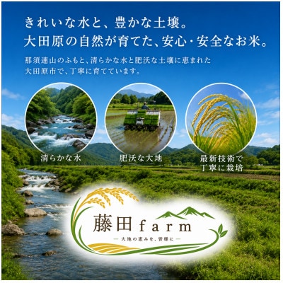 【毎月定期便】大田原市産にじのきらめき 無洗米 5kg 藤田farmのこだわりのお米全3回