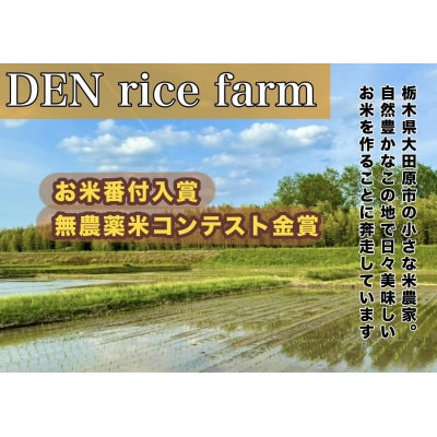 グルテンフリー無添加米麺 120g 10個セット