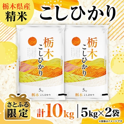 【さとふる限定】【令和8年産】2年連続特A評価!栃木県　コシヒカリ　精米　10kg(5kg×2袋)