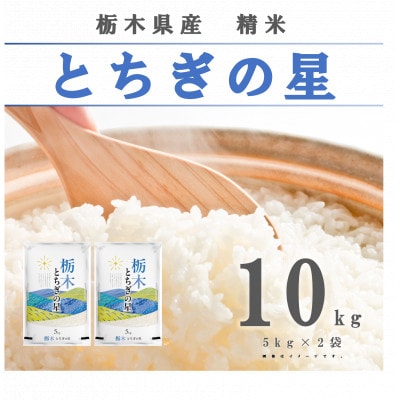【令和8年産】栃木県 とちぎの星　精米　10kg(5kg×2袋)令和大嘗祭献上のお米