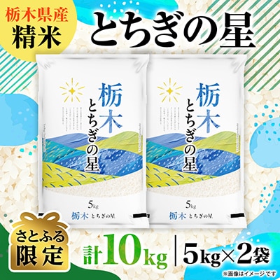 【さとふる限定】【令和8年産】栃木県 とちぎの星　精米　10kg(5kg×2袋)令和大嘗祭献上のお米