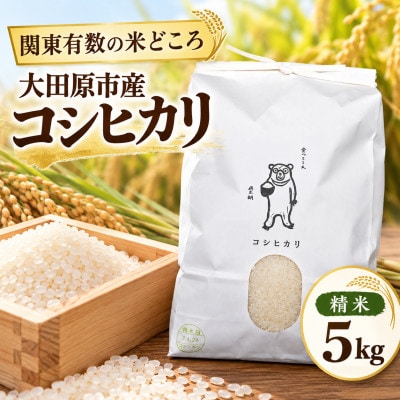 【令和8年産】大田原市産 コシヒカリ〈精米〉5kg  関東有数の米どころからお届け