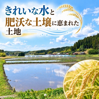 【令和8年産】大田原市産 コシヒカリ〈精米〉5kg  関東有数の米どころからお届け