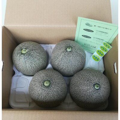 タカミメロン 4玉入 5kg前後 1箱 お礼品詳細 ふるさと納税なら さとふる