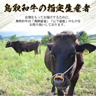 鳥取和牛霜降り赤身　2つの部位のしゃぶしゃぶすき焼き(300g)
