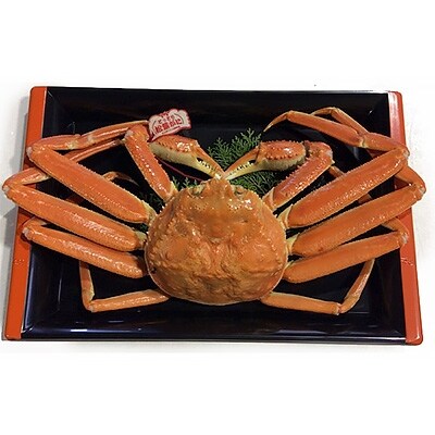 鳥取県産タグ付きボイル松葉ガニ特大1枚 900g 1kg お礼品詳細 ふるさと納税なら さとふる