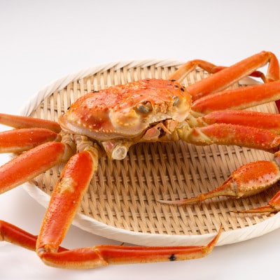 鳥取県産ボイル松葉ガニ訳あり!2枚セット