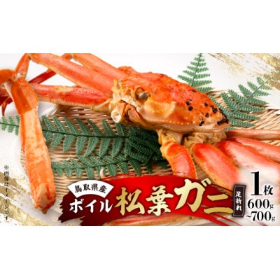 鳥取県産　厳選!ボイル足折松葉ガニ中1枚(600～700gサイズ)