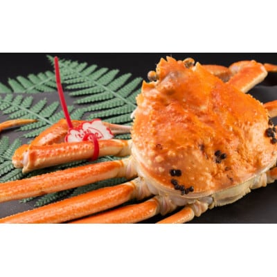 早期受付　鳥取県産タグ付きボイル松葉ガニ中1枚【2026/10/31までのお申込み分】