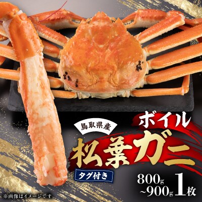 早期受付　鳥取県産タグ付きボイル松葉ガニ大1枚【2026/10/31までのお申込み分】