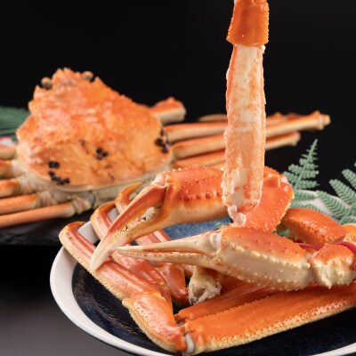 早期受付　鳥取県産タグ付きボイル松葉ガニ大1枚【2026/10/31までのお申込み分】