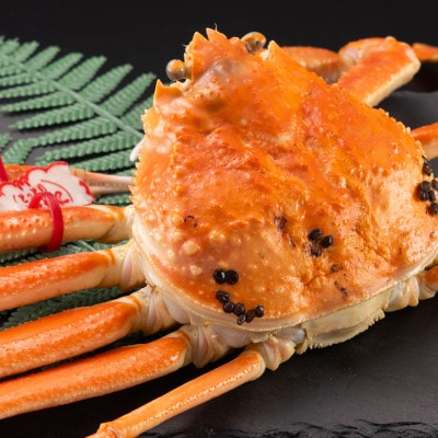 早期受付　鳥取県産タグ付きボイル松葉ガニ大1枚【2026/10/31までのお申込み分】