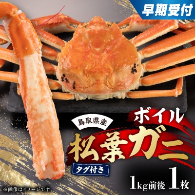 早期受付　鳥取県産タグ付きボイル松葉ガニLL　1枚【2026/10/31までのお申し込み分】