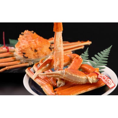 早期受付　鳥取県産タグ付きボイル松葉ガニLL　1枚【2026/10/31までのお申し込み分】