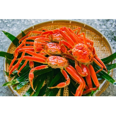 鳥取県産ボイル松葉ガニおまかせ　3kg