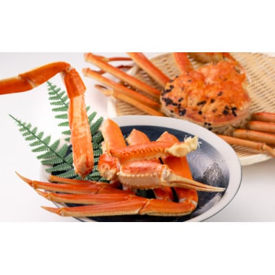 鳥取県産　ボイル足折松葉ガニ特大(ボイル後900g～1kgサイズ)　1枚