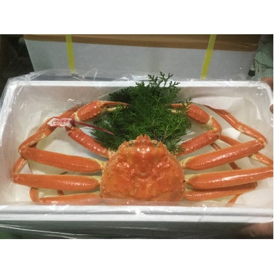 鳥取県産タグ付きボイル松葉ガニと活松葉ガニの欲張りセット　大サイズ(800～900g)