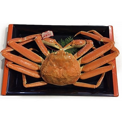 タグ付き鳥取県産ボイル松葉ガニと活松葉ガニの欲張りセット　特大サイズ(900g～1kg)