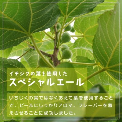 Fig Leaves Beer 3本セット