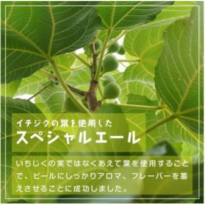 Fig Leaves Beer 6本セット