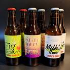 クラフトビール3種6本セット