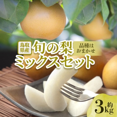 【品種はおまかせ】旬の梨ミックスセット3kg
