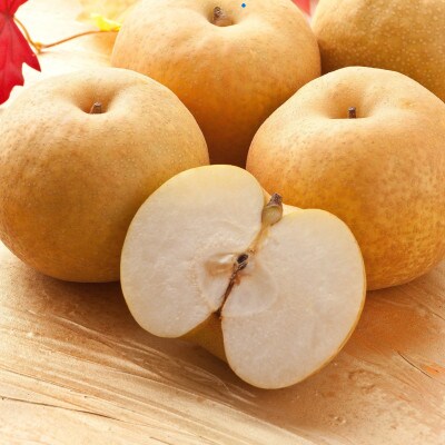 【訳あり】新興梨 4kg(4～16玉前後)