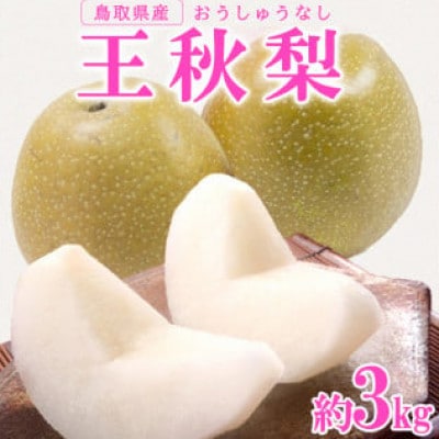 王秋梨 秀 3kg前後