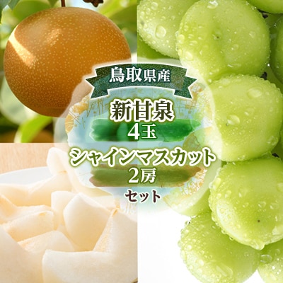 新甘泉4玉とシャインマスカット2房