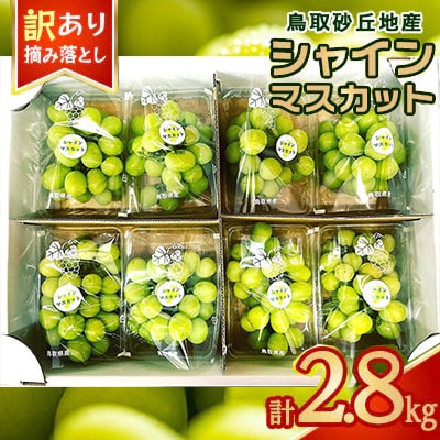 シャインマスカット　訳あり　家庭用　鳥取砂丘地産　2.8kg(350g×8パック)