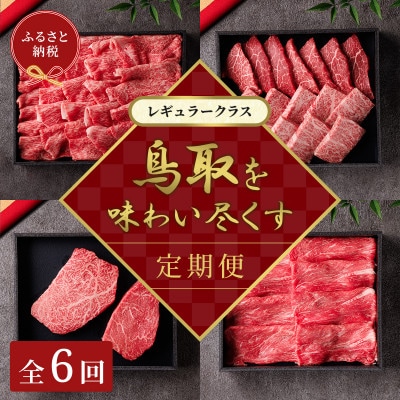 【毎月定期便】【和牛セレブ】鳥取和牛 定期便 「レギュラークラス」全6回