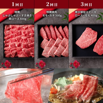 【毎月定期便】【和牛セレブ】鳥取和牛 定期便 「レギュラークラス」全6回