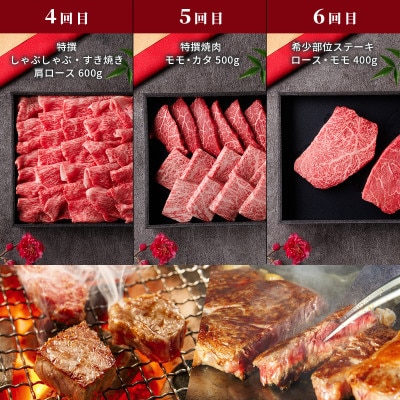 【毎月定期便】【和牛セレブ】鳥取和牛 定期便 「レギュラークラス」全6回
