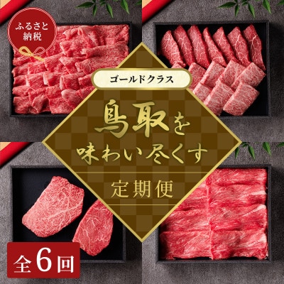 【毎月定期便】【和牛セレブ】鳥取和牛 定期便 「ゴールドクラス」全6回