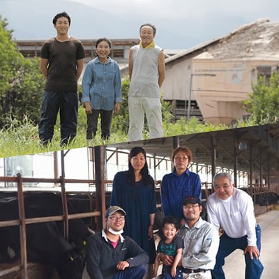 【毎月定期便】【和牛セレブ(12ヶ月定期便)】鳥取県産牛フィレステーキ4枚×全12回