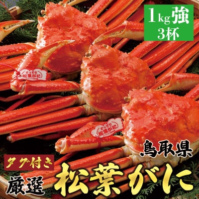 【ボイル】 《タグ付き》厳選松葉がに 大3杯(1kg以上×3杯)2025年11月発送 N3_Y