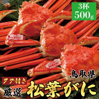 【ボイル】《タグ付き》厳選松葉がに 500g以上×3杯 2025年11月発送 N18_Y