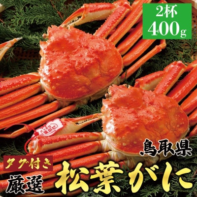 【ボイル】タグ付き 厳選松葉ガニ 400g以上×2杯 2025年11月発送 N20_Y