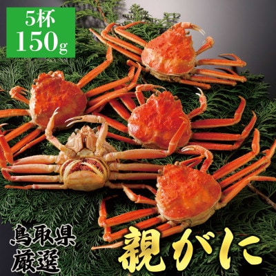 【2025年11月発送】鳥取県産 特撰 親がに 姿【セコガニ】(茹)150g 5杯 N40_Y