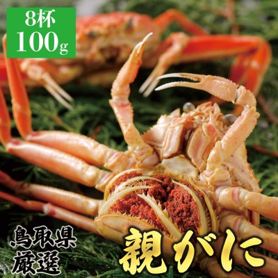 【2025年11月発送】鳥取県産 特撰 親がに 姿【セコガニ】(茹)100g 8杯 N44_Y