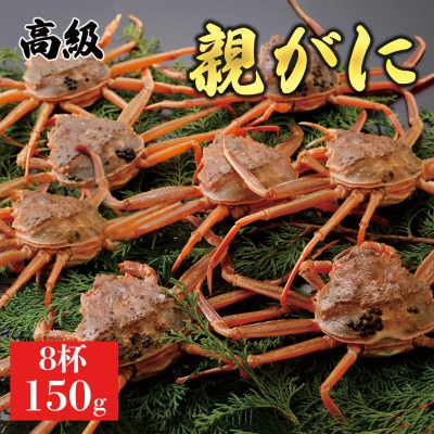【2025年11月発送】鳥取県産 特撰 親がに 姿【セコガニ】(活)150g 8杯  N41_I