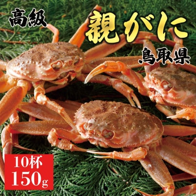 【2025年11月発送】鳥取県産 特撰 親がに 姿【セコガニ】(活)150g 10杯 N42_I