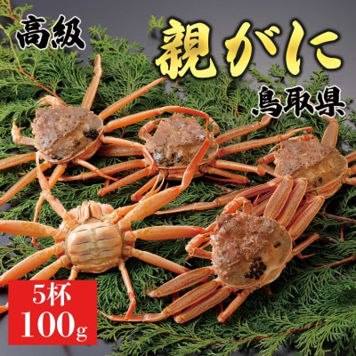 【2025年11月発送】鳥取県産 特撰 親がに 姿【セコガニ】(活)100g 5杯 N43_I