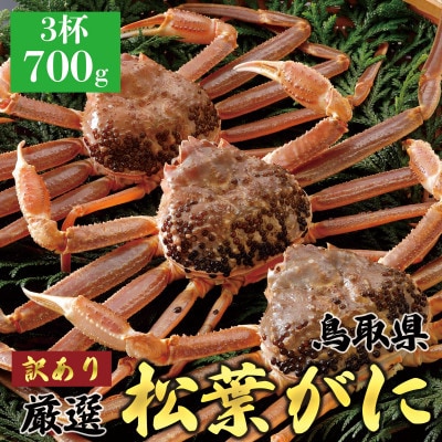 【活】 《訳あり》厳選松葉がに 3杯(700g×3杯)　2025年11月発送 N30_I